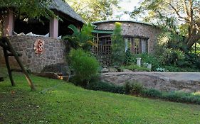 Treehouse River Lodge